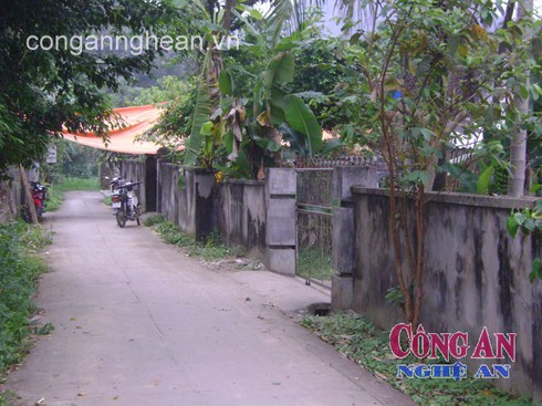 Cụ bà độc thân bị giết hại, cướp tài sản - ảnh 1