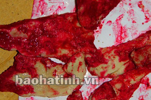 Thịt lợn luộc chín chuyển màu đỏ do nhiễm vi khuẩn S.marcescenst - ảnh 1