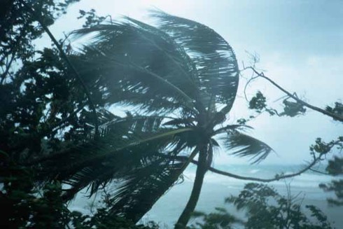 Vì sao bão, áp thấp chủ yếu xuất hiện từ tháng 6 trở đi? - ảnh 1