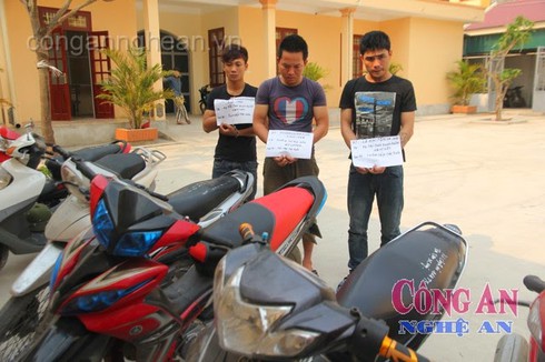 Phá ổ nhóm tội phạm chuyên