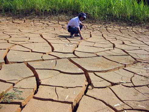 Biến đổi khí hậu: Nỗi lo nắng nóng