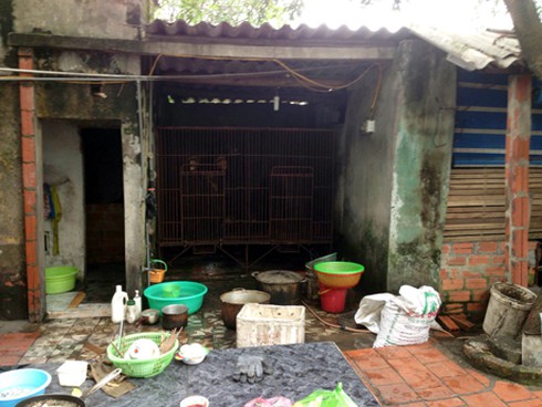 Bé trai 28 tháng tuổi bị gấu cắn đứt lìa cánh tay - ảnh 1