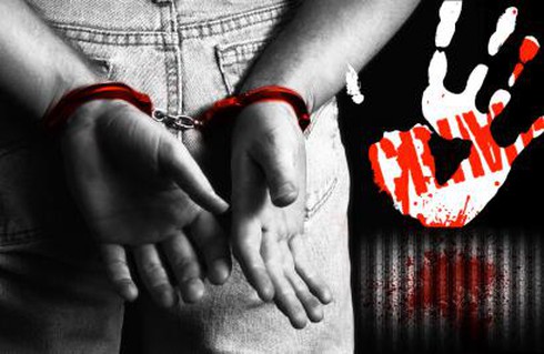 Sát hại cha bại liệt rồi tự đâm vào ngực tìm cái chết - ảnh 1