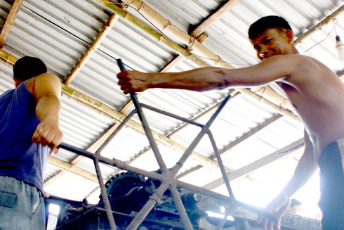 Ảnh đẹp lao động: Mùa ép dầu phụng - ảnh 1