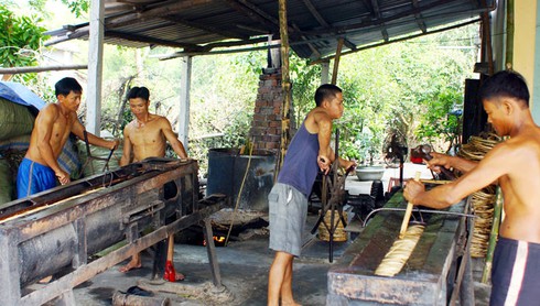 Ảnh đẹp lao động: Mùa ép dầu phụng - ảnh 3