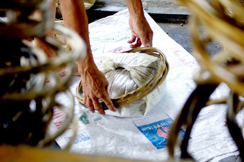 Ảnh đẹp lao động: Mùa ép dầu phụng - ảnh 4