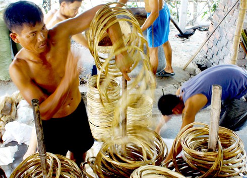 Ảnh đẹp lao động: Mùa ép dầu phụng - ảnh 5