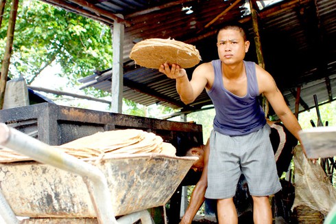 Ảnh đẹp lao động: Mùa ép dầu phụng - ảnh 7