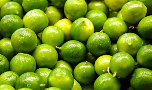 Bắt kẻ trộm 3 tạ chanh - ảnh 1