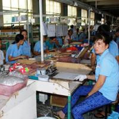 Doanh nghiệp VN hỗ trợ DN nước ngoài ở Bình Dương - ảnh 1