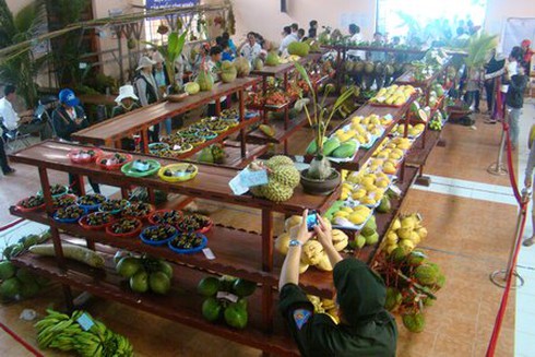 Cây trái “to, dài, nặng, lạ”: sầu riêng 11kg, phôi dừa lên 2 thân... - ảnh 2