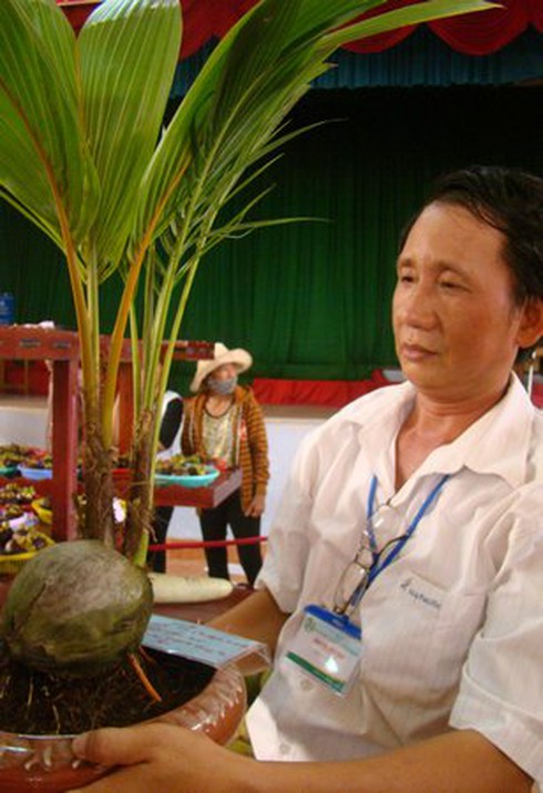 Cây trái “to, dài, nặng, lạ”: sầu riêng 11kg, phôi dừa lên 2 thân... - ảnh 1