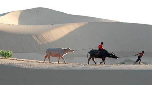 Dự báo thời tiết ngày 9/6: Nghệ An tới Ninh Thuận nắng nóng nhất nước - ảnh 1