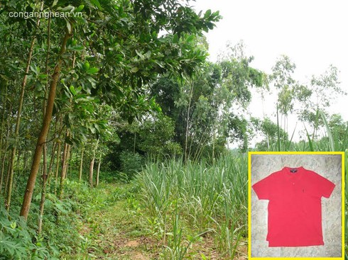 Truy xét 'nóng' đối tượng mặc áo đỏ - ảnh 1