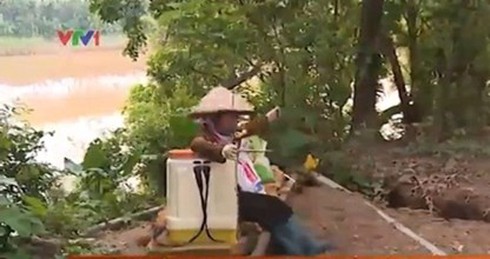 Người Hà Nội đu dây qua sông: Có sự dàn dựng hay không? - ảnh 1