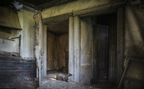 Nửa đêm, thiếu phụ trốn trong nhà hoang để chuyển