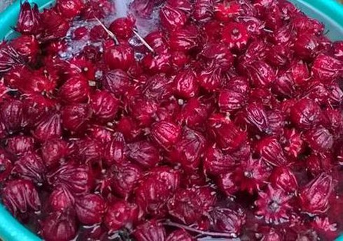 Cách ngâm hoa atiso đỏ với đường hoặc rượu - ảnh 1