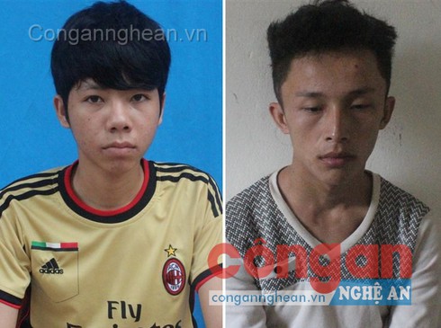 Hai đối tượng gây ra 20 vụ cướp giật - ảnh 1