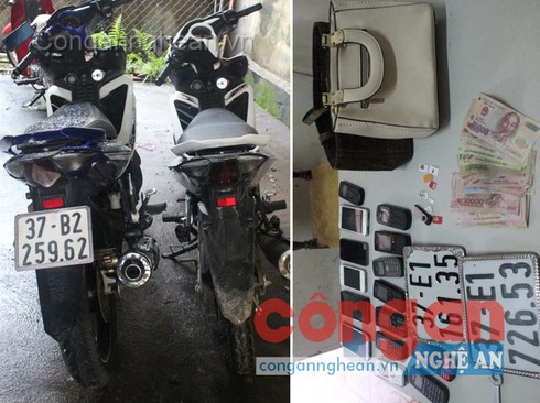 Hai đối tượng gây ra 20 vụ cướp giật - ảnh 2