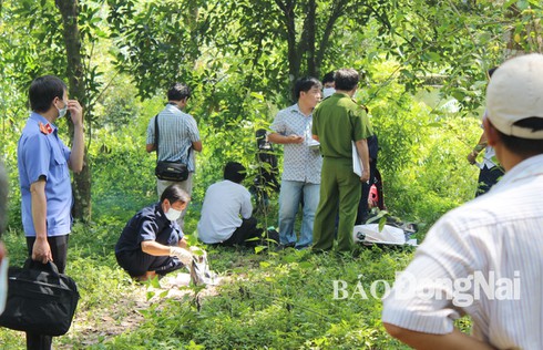 Phát hiện một thanh niên chết trong tư thế treo cổ giữa rừng - ảnh 1