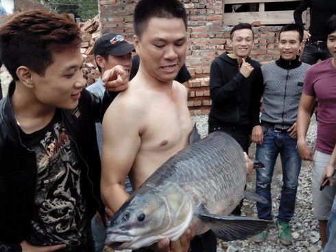 Sẽ không bán cá trắm đen