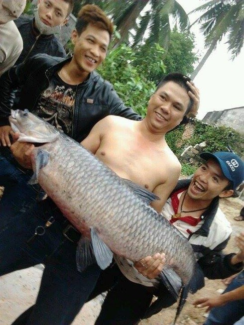 Sẽ không bán cá trắm đen