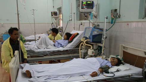 3 người nhập viện vì ngộ độc cá nóc - ảnh 1