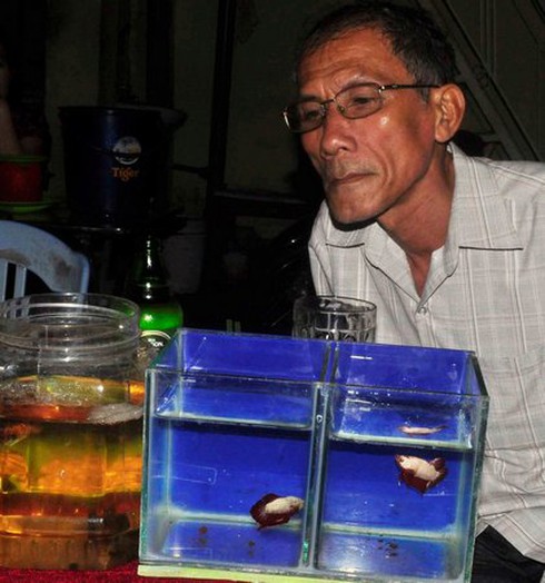 Lia thia- thú chơi ra tiền - ảnh 3