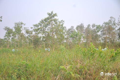 Ảnh cận cảnh hiện trường vụ trực thăng rơi làm 4 chiến sĩ hi sinh - ảnh 7