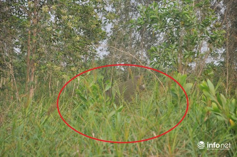 Ảnh cận cảnh hiện trường vụ trực thăng rơi làm 4 chiến sĩ hi sinh - ảnh 6