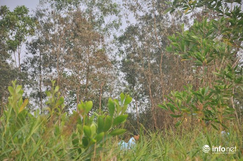 Ảnh cận cảnh hiện trường vụ trực thăng rơi làm 4 chiến sĩ hi sinh - ảnh 9