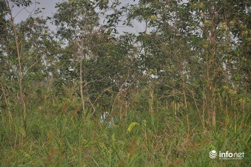 Ảnh cận cảnh hiện trường vụ trực thăng rơi làm 4 chiến sĩ hi sinh - ảnh 10