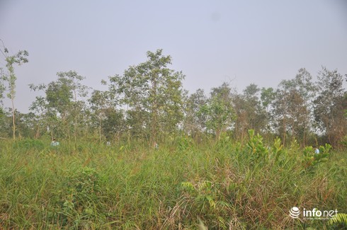 Ảnh cận cảnh hiện trường vụ trực thăng rơi làm 4 chiến sĩ hi sinh - ảnh 11