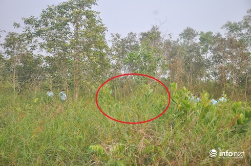 Ảnh cận cảnh hiện trường vụ trực thăng rơi làm 4 chiến sĩ hi sinh - ảnh 12