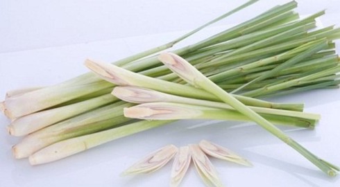 Chữa cảm lạnh bằng cây sả - ảnh 1