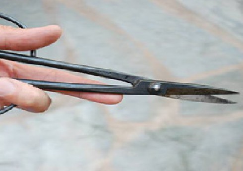 Yêu đậm, ghen cuồng - ảnh 1