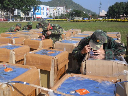 Địa điểm bắn pháo hoa giao thừa tại Bình Định dịp Tết Ất Mùi 2015 - ảnh 1