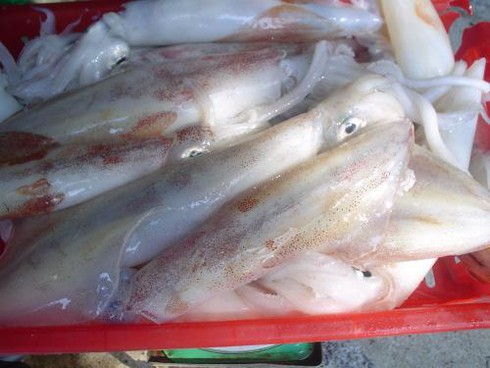 Siêu thị Metro Thăng Long bán mực ống nhiễm khuẩn tiêu chảy - ảnh 1