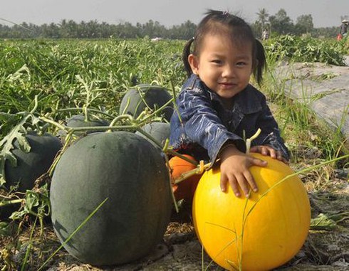 Rộn ràng những ngày giáp Tết - ảnh 1