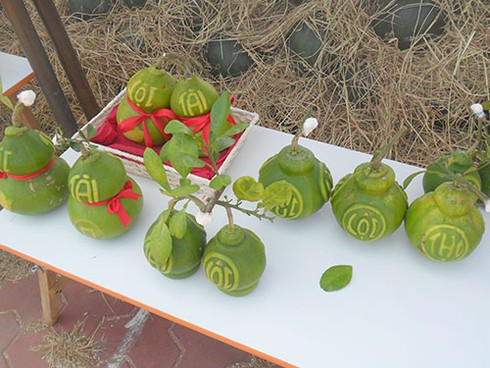 Trái cây “độc, lạ” tràn về Phan Thiết - ảnh 2