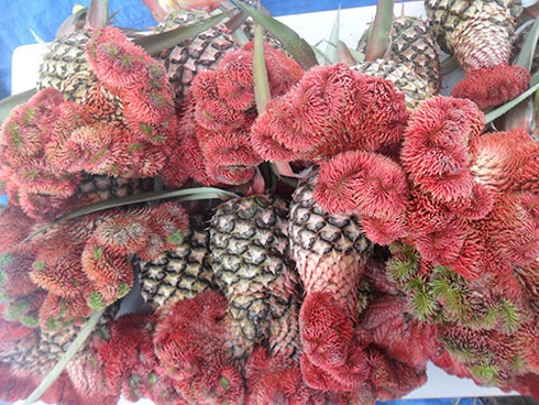 Trái cây “độc, lạ” tràn về Phan Thiết - ảnh 3