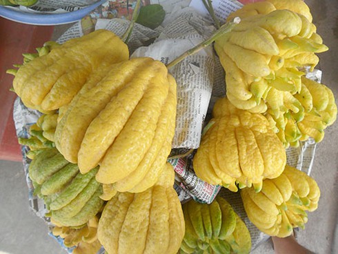 Trái cây “độc, lạ” tràn về Phan Thiết - ảnh 6