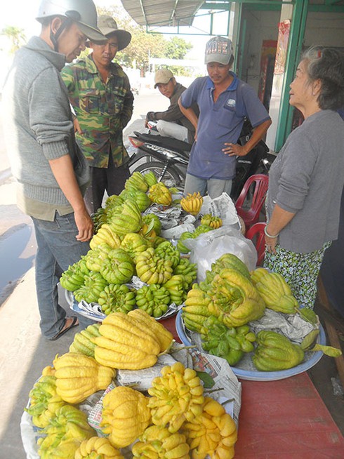 Trái cây “độc, lạ” tràn về Phan Thiết - ảnh 7
