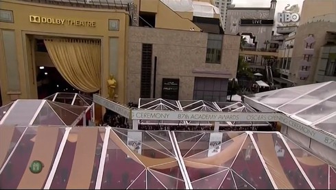 Trao giải Oscar 2015: Dàn sao tề tựu trên thảm đỏ - ảnh 1