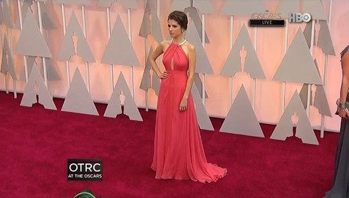 Trao giải Oscar 2015: Dàn sao tề tựu trên thảm đỏ - ảnh 7