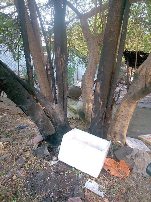 Đạn nổ trong đống rác, người dân một phen hú vía - ảnh 1