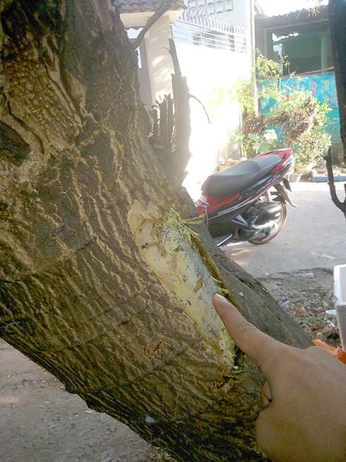 Đạn nổ trong đống rác, người dân một phen hú vía - ảnh 2