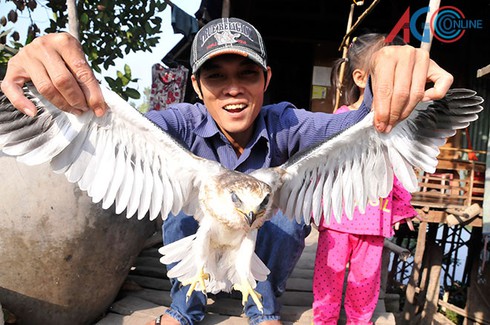 Tận diệt chim “độc” - ảnh 1