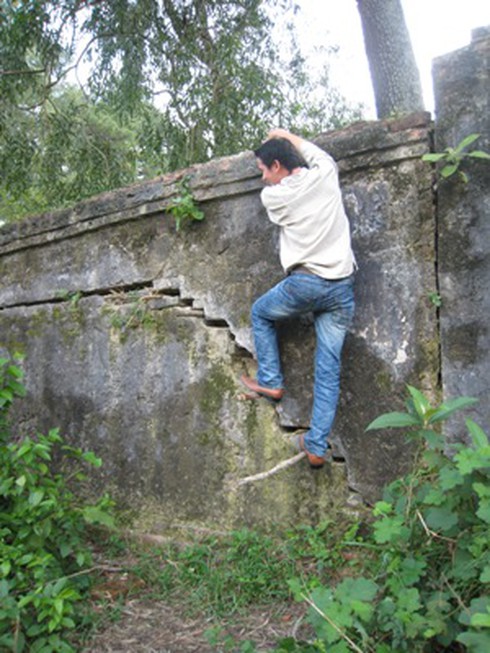 Trị