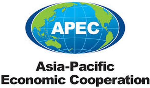 Việt Nam tham dự Hội nghị Viễn thông và CNTT APEC lần thứ 10 - ảnh 1